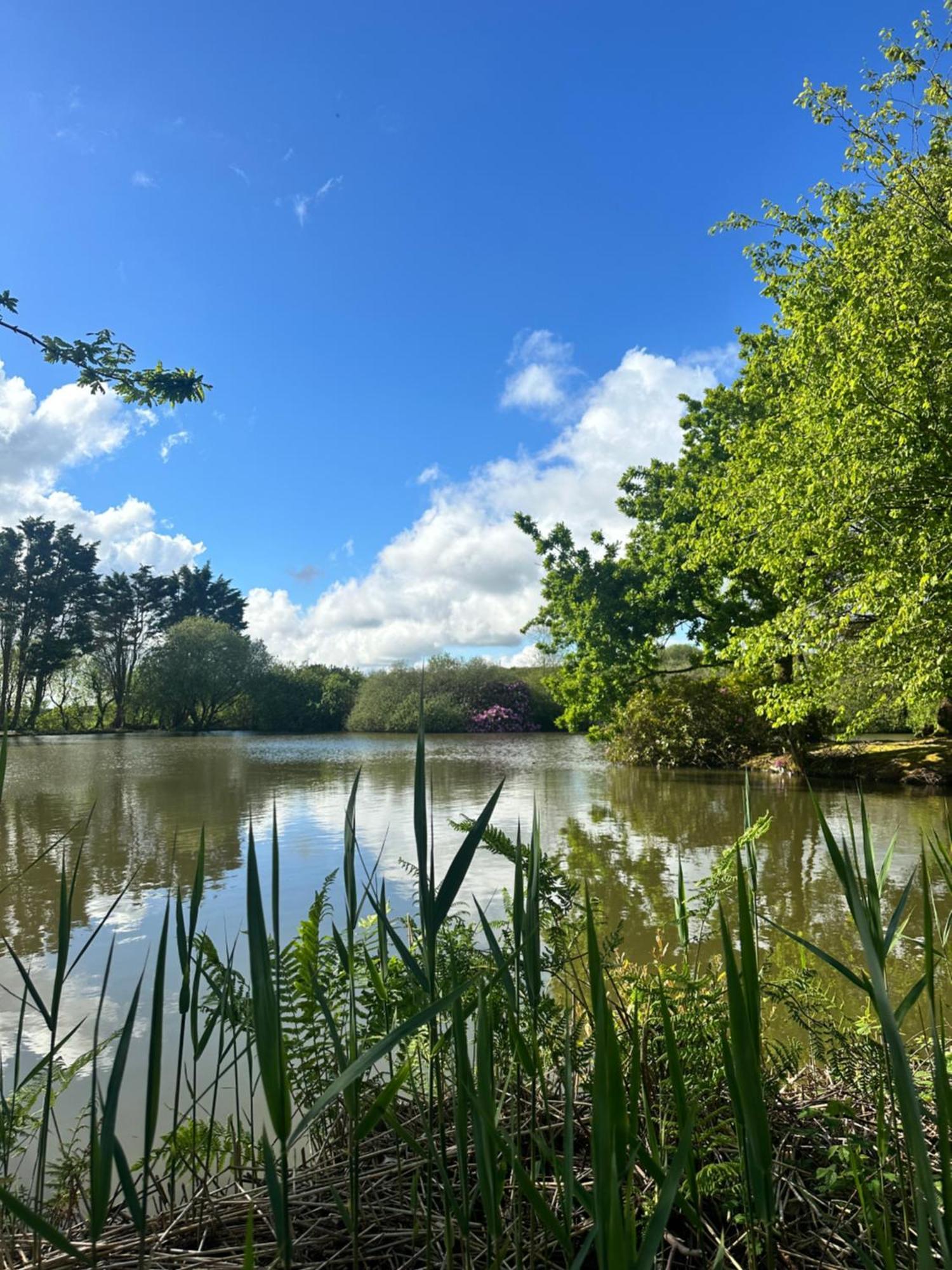 Lakeside Glamping Firecrest St Columb Major Exterior photo