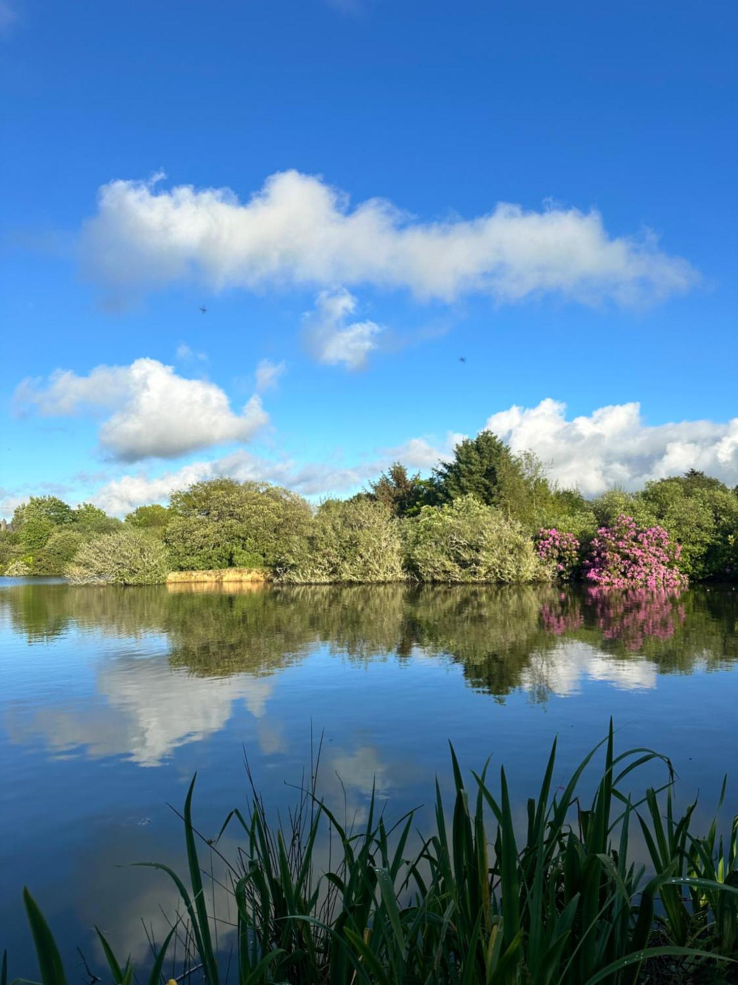 Lakeside Glamping Firecrest St Columb Major Exterior photo