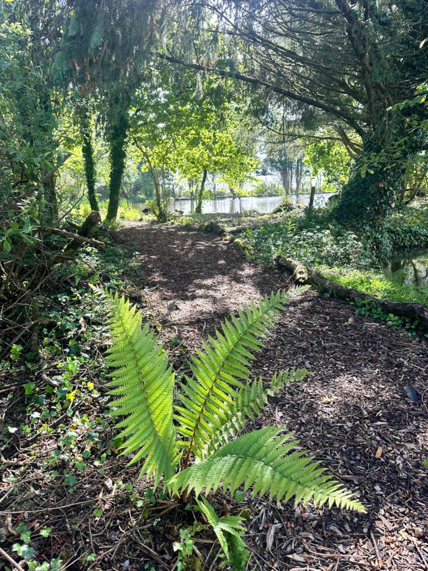 Lakeside Glamping Firecrest St Columb Major Exterior photo